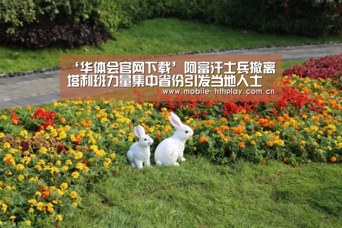 华体会体育app下载