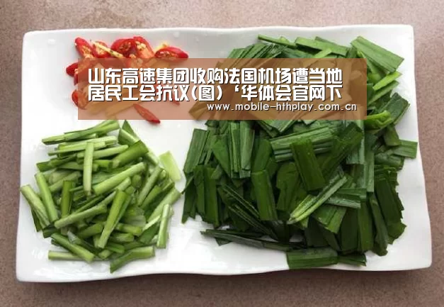 山东高速集团收购法国机场遭当地居民工会抗议(图)‘华体会官网下载’(图2) 华体会官方网站入口