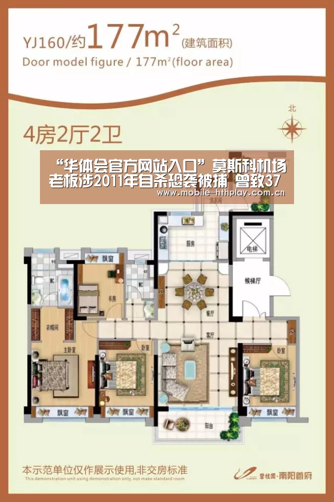 “华体会官方网站入口”莫斯科机场老板涉2011年自杀恐袭被捕 曾致37死180伤(图3) 华体会官方平台